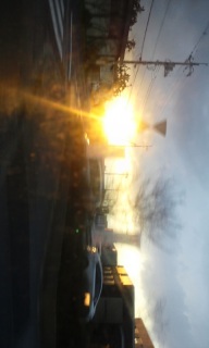 (untitled)