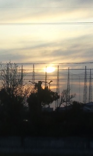 (untitled)
