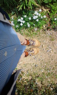 (untitled)
